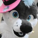 zylahusky