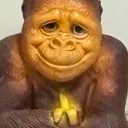 imaohioian