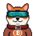 richzhydra