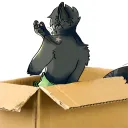 stressedcatinabox