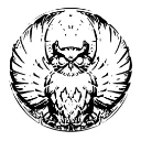 dragonking3734