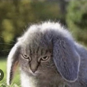 avatar My pants are full of poo