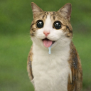 avatar ям кренвирш с пръчка