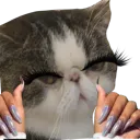 lizkhalifa