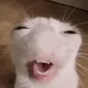 luwai