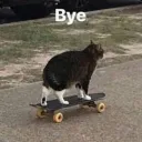 see_ya_