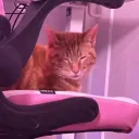 oopsieadam
