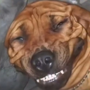 Avatar de 𝕰𝖓𝖗𝖎𝖖𝖚𝖊𝖗𝖈