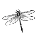 0xdragonfly_