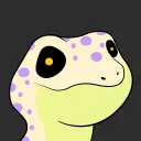 sonroh.stargazeraffles