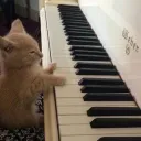 epthopper