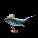 flawlesswhale
