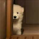 nanaminnt