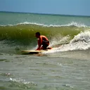 waveminded