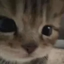 maybenicole