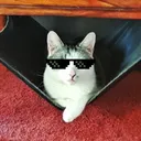 .liskaya