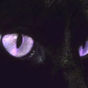 avatar ♡ Velia ♡