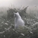 avatar ♡ Velia ♡