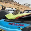 avatar Sam I faridNL1