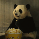 pandadesign