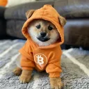shekhar.eth