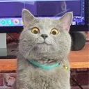 thaxruwu69