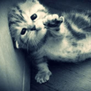 avatar başı ağrıyo