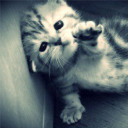 avatar başı ağrıyo