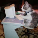 avatar Arson.V.Charr