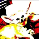 grey6436