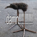 avatar kuulest ⁺⋆ ☾