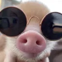 xofficerbaconx