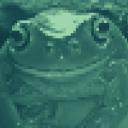 dumpytreefrog