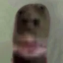 pizdabol4359
