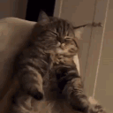 avatar ᰍ̣̥⁔̣̣̣̥Kenji⁔̣̣̣̥𑁯̣̥