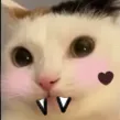 vampiia