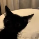 kissified