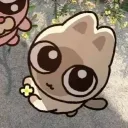 kimcatchy