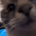 Xxso