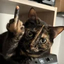 punii