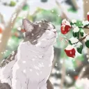 fiercecat