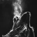 dirtpaw13