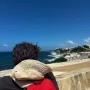 ttexy