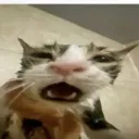 sigmahatesyou