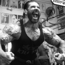 avatar 𝑫𝒂𝒔 𝑭𝒓𝒆𝒂𝒌