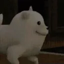 sparkyonyx