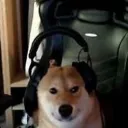 coopd4wg