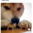 regnar__