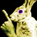fuzzwabbit