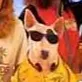 .spudsmackenzie